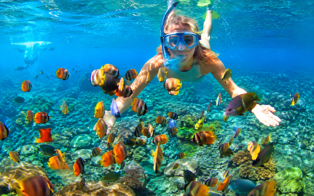 Snorkeling Tips and Tricks: Explore Marine Life with Confidence