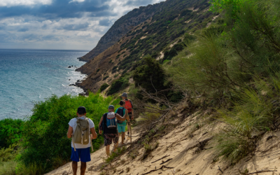 Hiking Essentials Every Outdoor Enthusiast Should Know